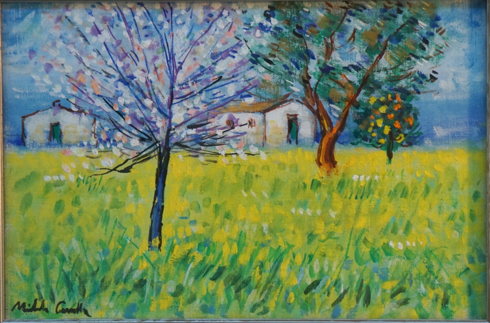 Foto 2 di 6