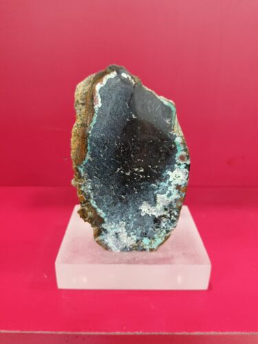 Rare strongest energy blue chrysocolla on petrified wood polished 516gr 443 - Picture 1 of 6