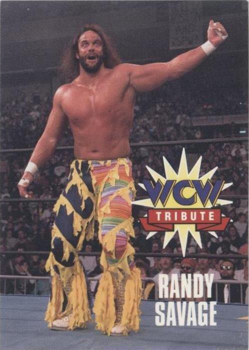 1995 CARDZ WCW Main Event - Randy Savage #73 - 1 of 1