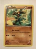Pokémon TCG Riolu BW Black Star Promos BW33 Regular Promo Card