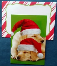 "Dreaming Together", (3) Leanin Tree Christmas Cards, New With (3) Envelopes