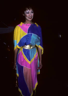 Actress Mae Hi at the Northern Lights Alternatives Presents the - 1986 Old Photo