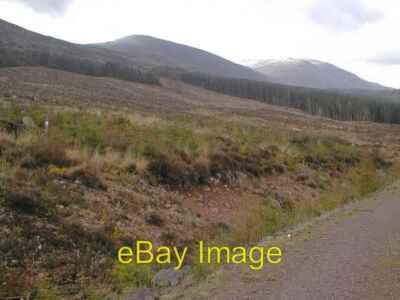 Foto 6x4 gerodete Fällungen Ennerdale Wald Croasdale Blick entlang der r c2008