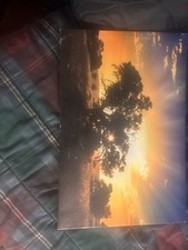 Tree Sunset Nature Print Set Photorealism Abstract Landscape Art