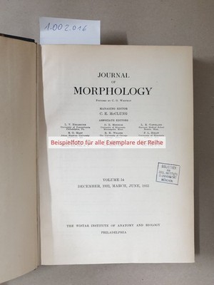 Journal of Morphology, Volume 26 : Whitman, C. O.: