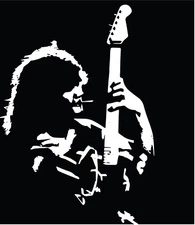 Eddie Van Halen #1 VINYL DECAL Guitar, 70' 80's 90's, hard rock, bumper sticker 
