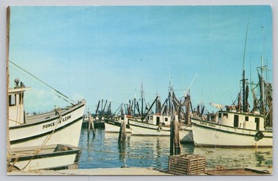 Vintage Florida Chrome Postcard Shrimp Boats Harbor Ponce de Leon Santa Maria
