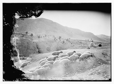 Photo:23rd Psalm Sheep Shepherd Desert Hills 1900s Greek Orthodox