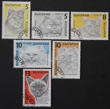 Bulgarien: Michel-Nr. 3808-3813 "Katzen" aus 1989, gestempelt