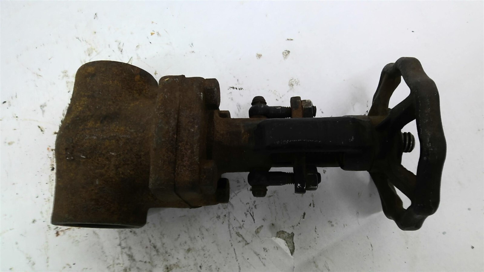 Foto 8 di 8