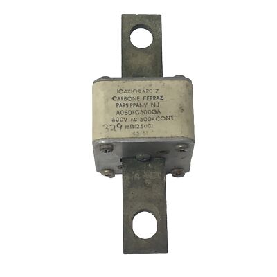 Carbone Ferraz A060FC300GA GE 104X109AR017 Fuse