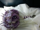 texas_winter_rose