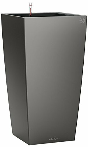 Lechuza 18194 Owl - Premium Pot Cubico kit completo, antracite (Y1a)