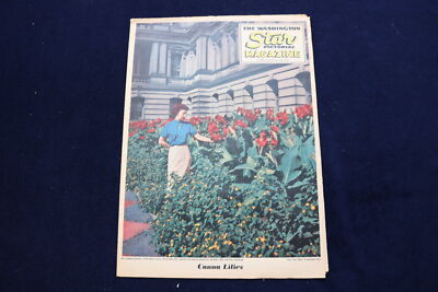 1952 SEP 28 WASHINGTON STAR PICTORIAL MAGAZINE - CANNA LILIES COVER - E 23332