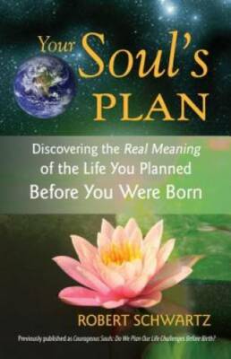 Your Soul's Plan: Discovering the Real Meaning of the Life You Plann - VERY GOOD
