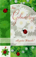Geburtstagskarte MarienkäFer Karte GlüCk GlüCkwunschkarte GrußKarte Geburtstag