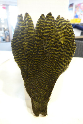 Grizzly HEN NECK  OLIVE  Wapsi USA Henne Neck grizzly - olive
