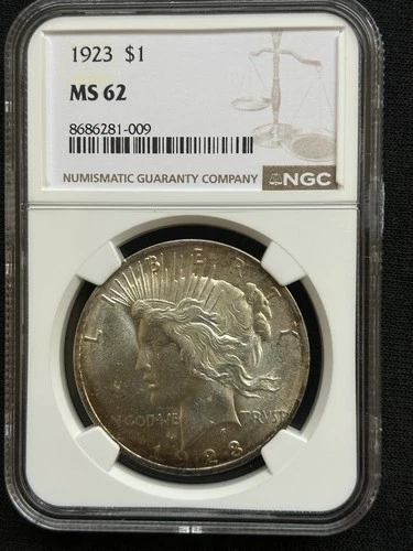 1923 Peace Dollar (Beatifully Toned) MS 62