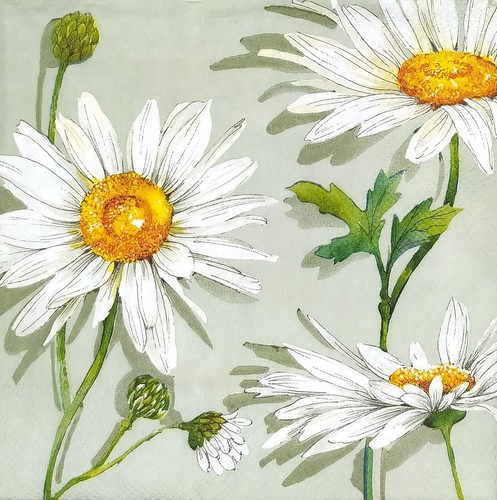 Serviettes En Papier Motifs Marguerites Et Abeilles – Lot De 100, 33 Cm, 2 Plis, Non Blanchies