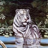 Wading White Bengal Tiger Medium Weight2.1kg (4.6lbs) Acrylic Mink Blanket on sale Wading White Bengal Tiger Medium Weight2.1kg (4.6lbs) Acrylic Mink Blanket on sale