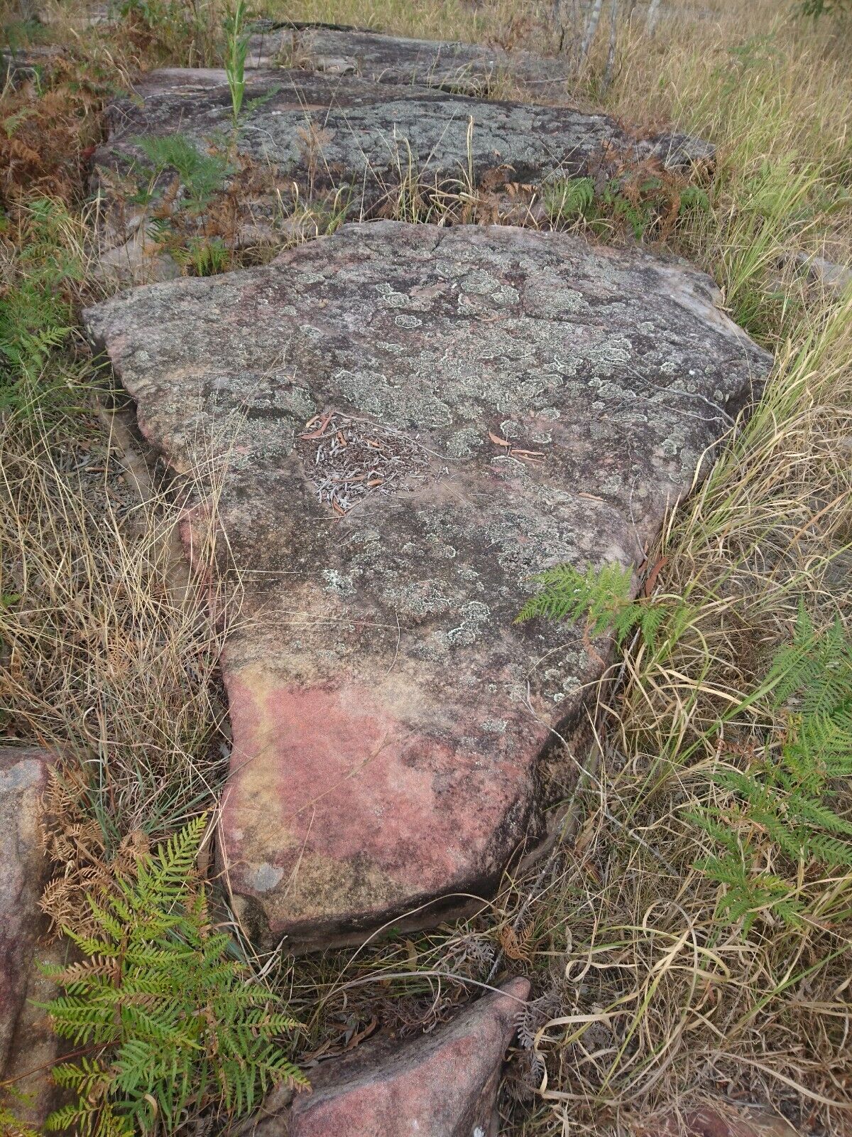 Picture 5 of 12