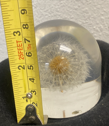 clear VTG W. Rolfe 3" Acrylic Lucite Paperweight W/ Dandelion Flower Signed - Picture 5 of 9