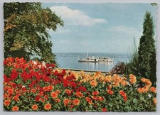 Insel Mainau Lake Constance Germany Dahlias Flower Garden Birnau Boat Postcard