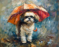 Shih Tzu Dog with Umbrella in Rain 8x10 Matte Print