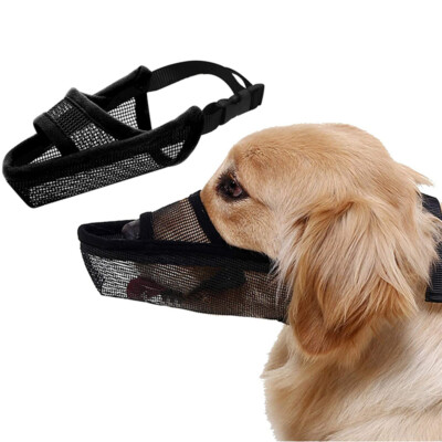 dog muzzle pet barn