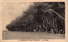 Ascoli Piceno S. Benedetto del Tronto Pineta f. Piccolo shipped