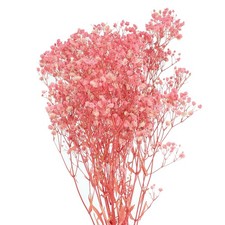 Dried Baby's Breath Flowers 17 Inch Light Pink Natural Branches 3 Pcs