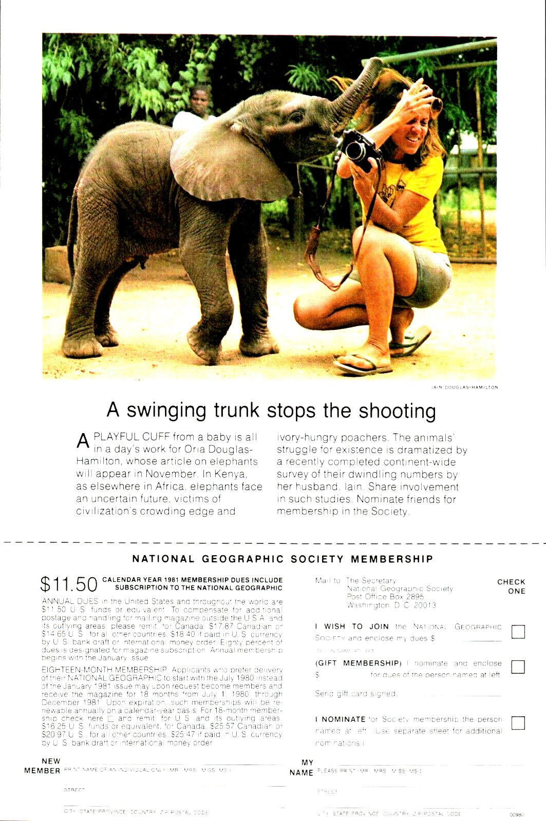 1981-national-geographic-society-membership-print-ad-ebay