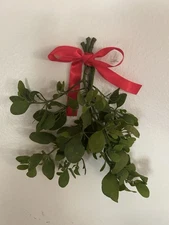 Fresh Mistletoe Bow Christmas Decor Wall Hanger Kiss Me Gift Merry