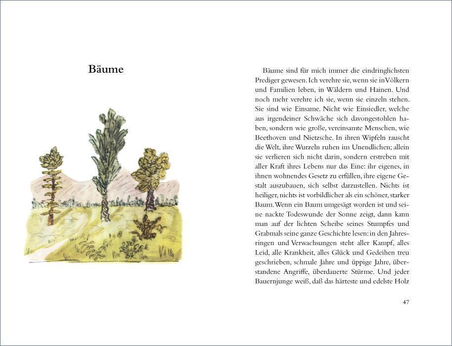 Thumbnail - Wanderung Hermann Hesse