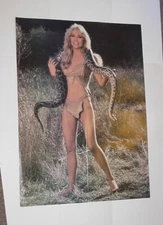 Sheena Poster Tanya Roberts Movie Queen of the Jungle Millennium Films Reboot x