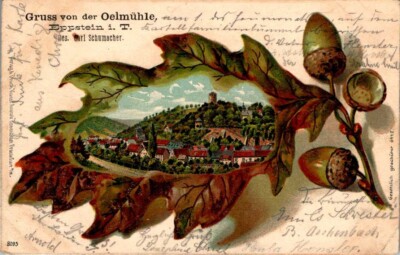 LITHO GRUSS AUS EPPSTEIN MAIN TAUNUS KREIS KÖNIGSTEIN OELMÜHLE EICHENBLATT 1902