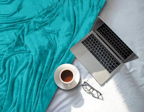 Fleece Blanket 300GSM Luxury Bed Blanket Anti-Static Fuzzy Soft Utopia Bedding - Picture 40 of 170