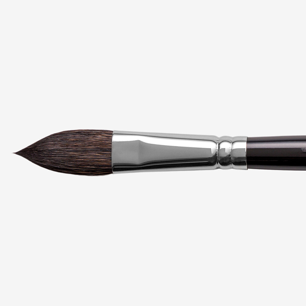 Pro Arte : Artists Wash Watercolour Brush : Series 50 Size Medium