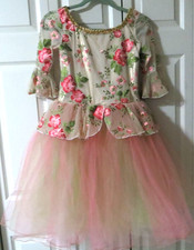 A Wish Come True Embroidered Pink  Green Tulle Dress Up Play Costume Size XL