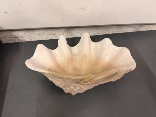 Uttermost Handmade Clam Shell 22-3/4" Wide Stone Accent Bowl # 19800 - Picture 11 of 12