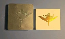 Copeland Ixora & Twin CD's, Limited Edition 2CDs with Collector Tin