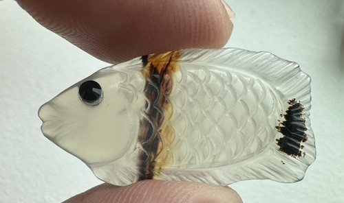 Montana pesce agata muschio - Foto 2 di 6