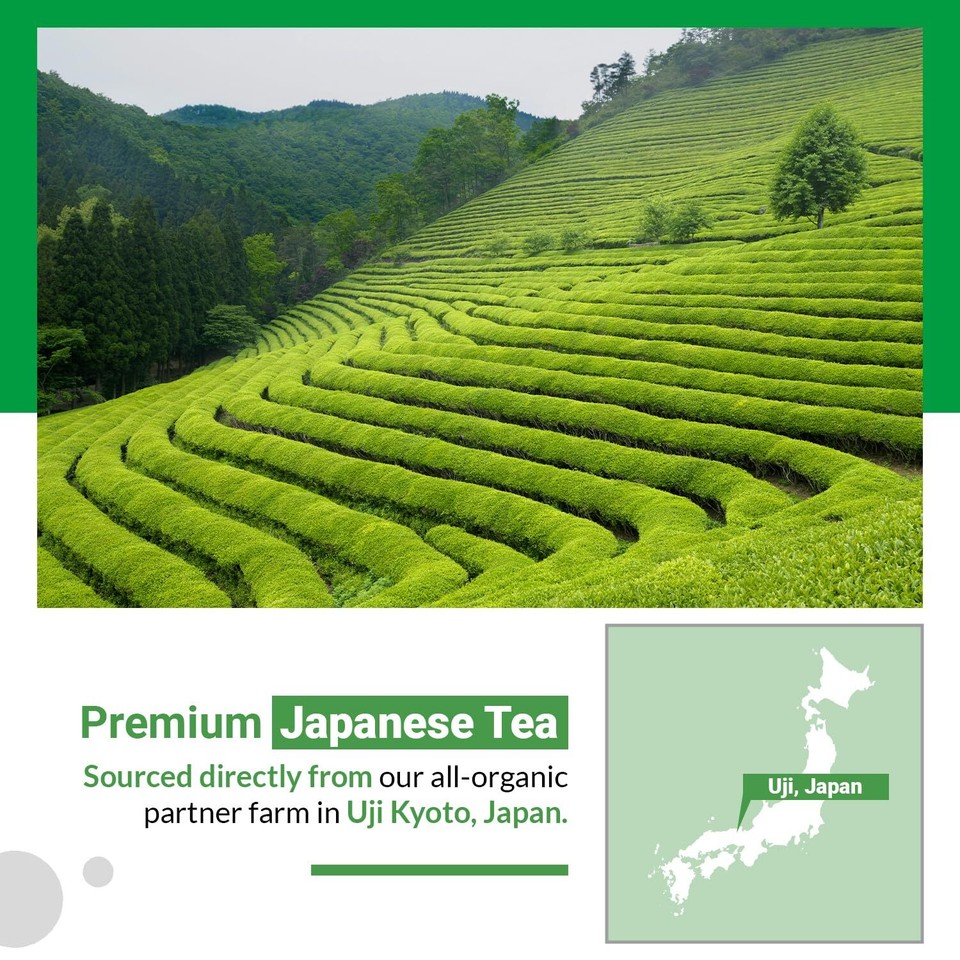 Spring Zen Matcha Green Tea Traditional Organic Japanese Matcha from