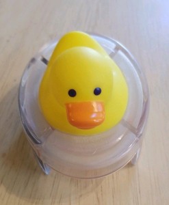 rubber ducky thermometer