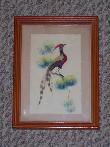 Beautiful Vintage Feathered Bird Picture - Picture 5 of 5