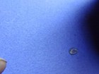 Bild 12 von 14