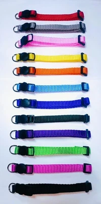 Personalised Puppy Small Dog Collar, Custom Embroidery Pet ID with Safety Buckle - Image 1 of 4