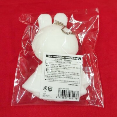 Stray Kids World Tour dominATE JAPAN 2025 Official MD BAG CHARM | eBay
