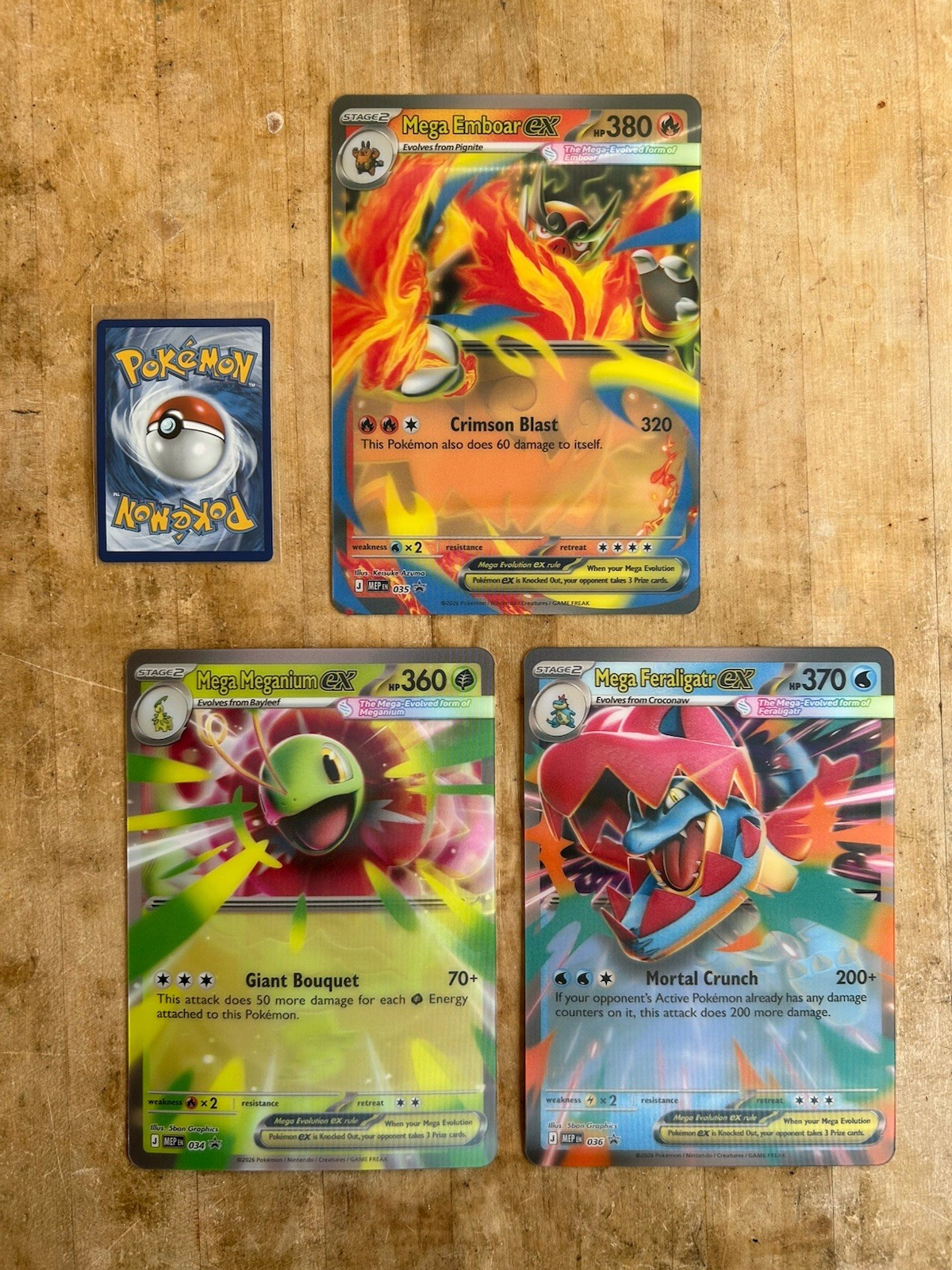 Oversize Jumbo Mega Meganium Emboar Feraligatr ex Black Star Promos 034 035 036