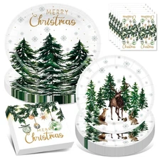FATLBSEV 100Pcs Christmas Paper Plates and Napkins Set - Includes 10 * 12inch...